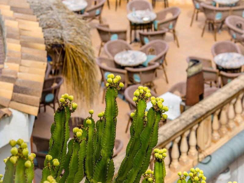 Hotel Playas De Paguera Παγκουέρα Εξωτερικό φωτογραφία